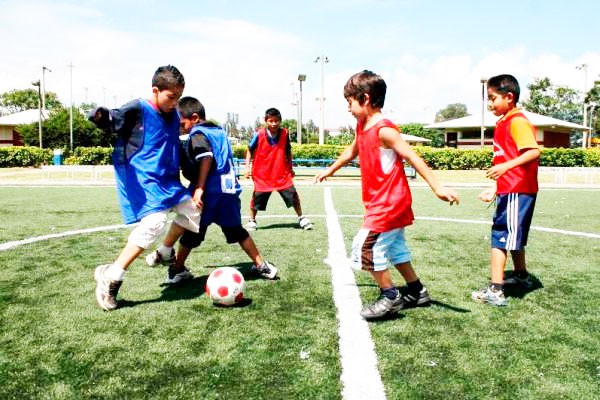 Derecho de Formaci�n Deportiva