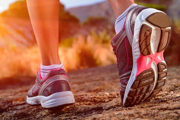  �Para qu� necesita un club asesoramiento de un abogado en derecho deportivo?